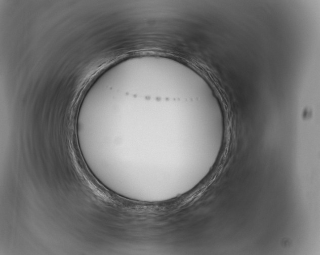 X0000111120049200906301050