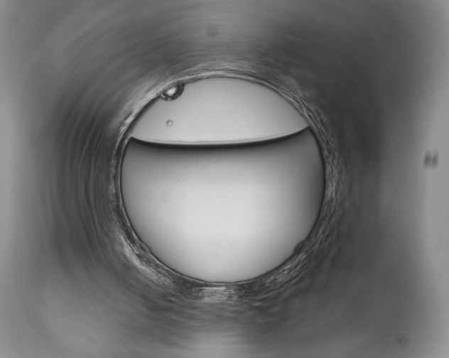 X0000111120050200906301050