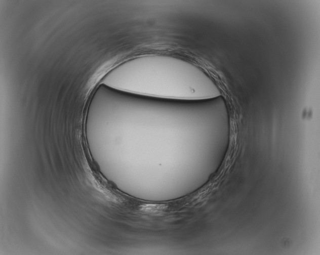 X0000111120051200906301050