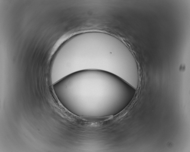 X0000111120056200906301051
