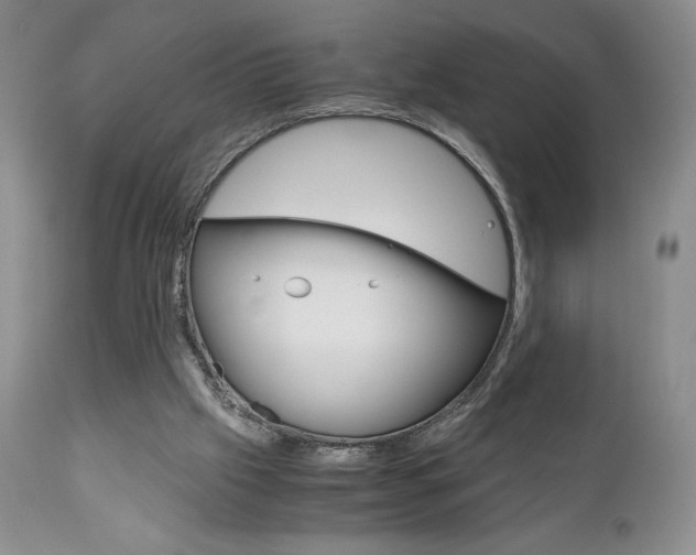 X0000111120057200906301051