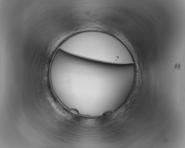 X0000111120058200906301051
