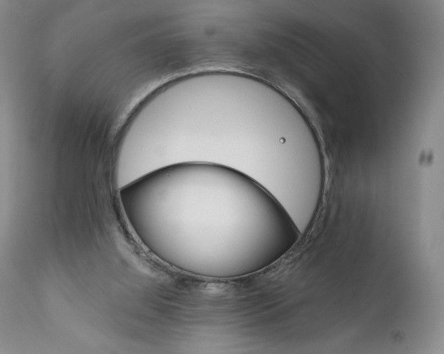 X0000111120060200906301051