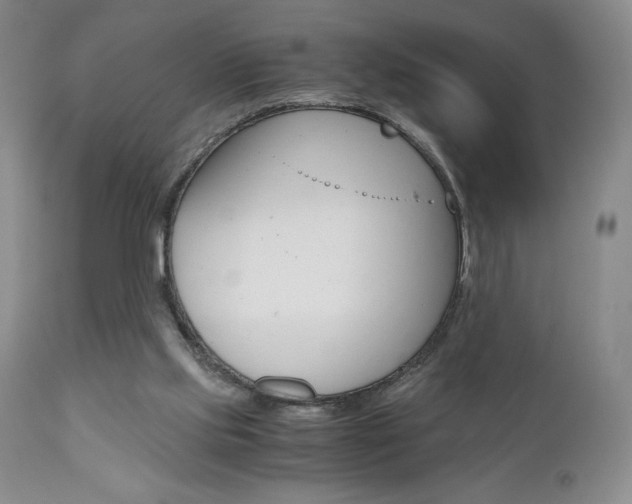 X0000111120061200906301051