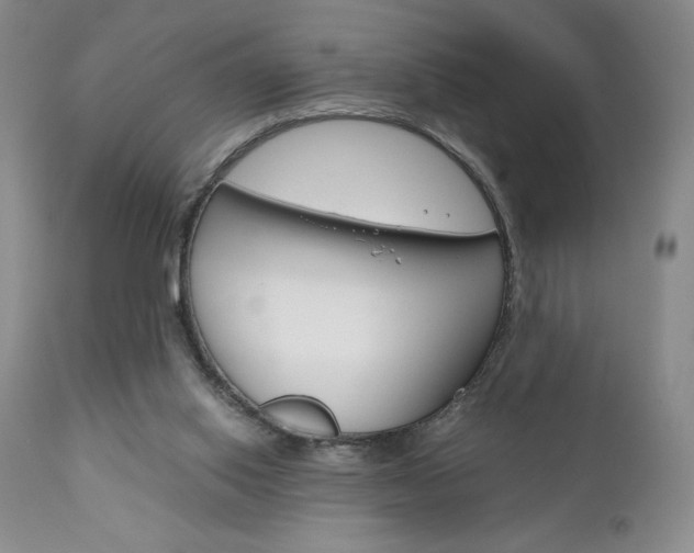 X0000111120062200906301051