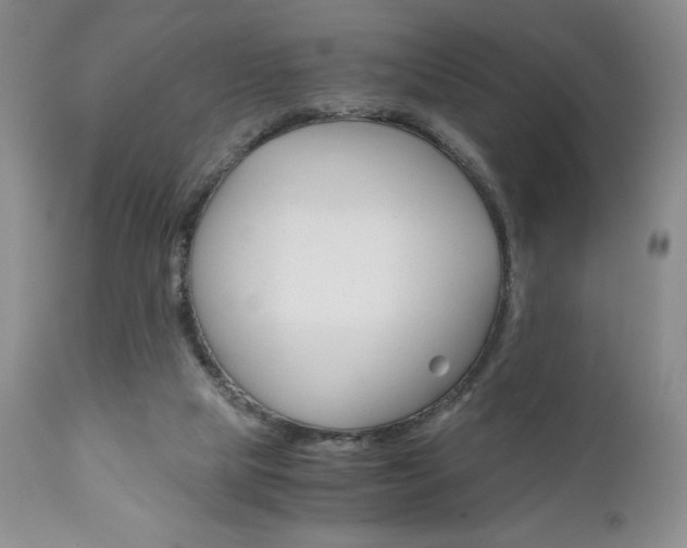 X0000111120065200906301051