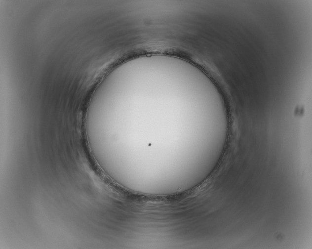 X0000111120066200906301051