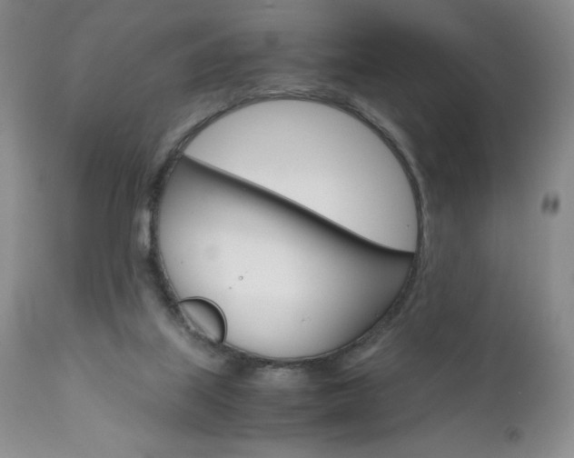 X0000111120067200906301051
