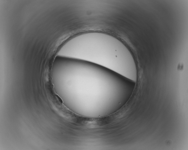 X0000111120068200906301051