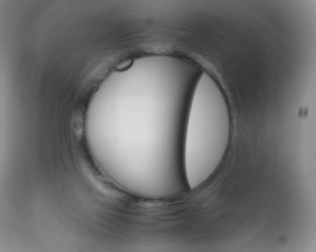 X0000111120069200906301051