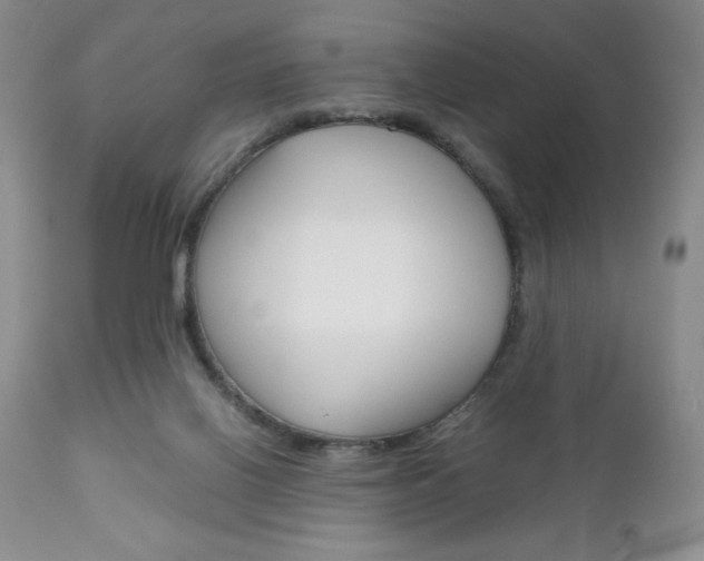 X0000111120070200906301051