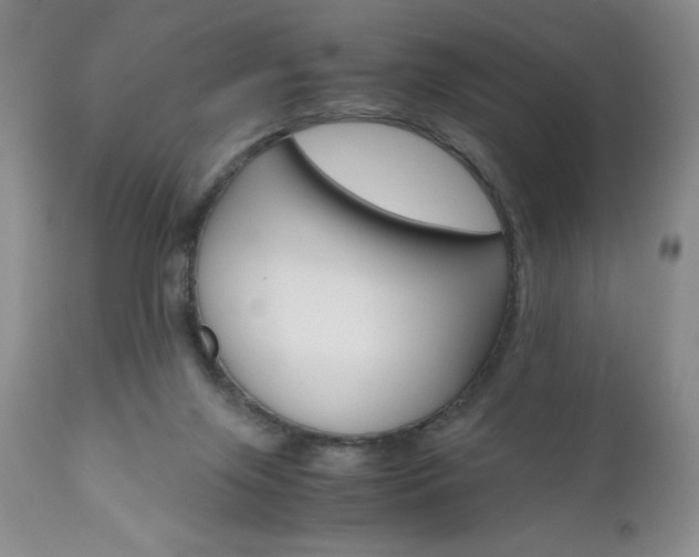 X0000111120071200906301051
