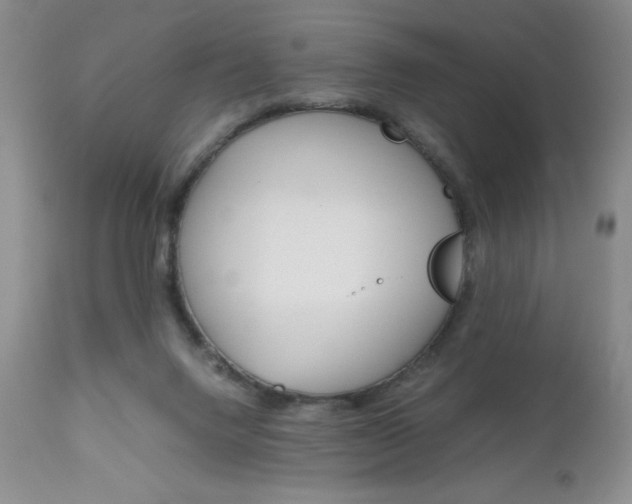X0000111120072200906301051
