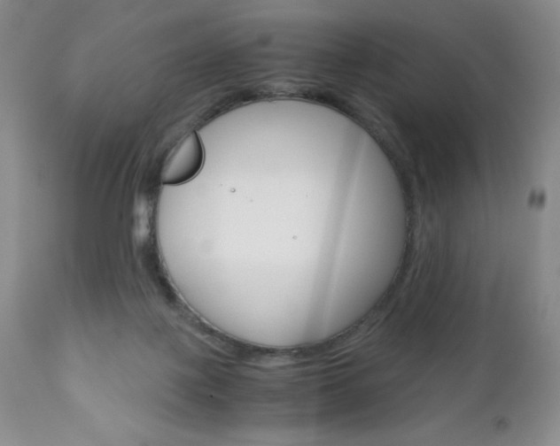 X0000111120075200906301051