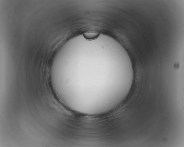 X0000111120077200906301051