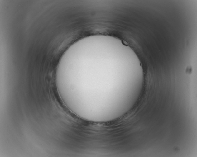 X0000111120079200906301051