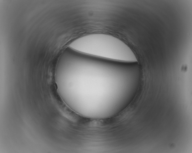 X0000111120080200906301051