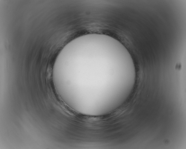 X0000111120081200906301051