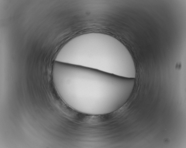 X0000111120082200906301051