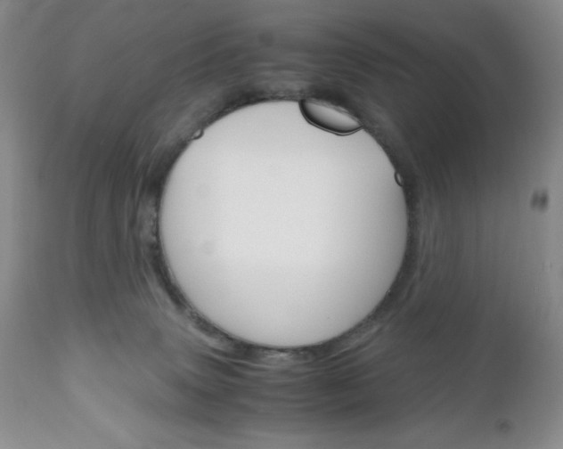 X0000111120083200906301051