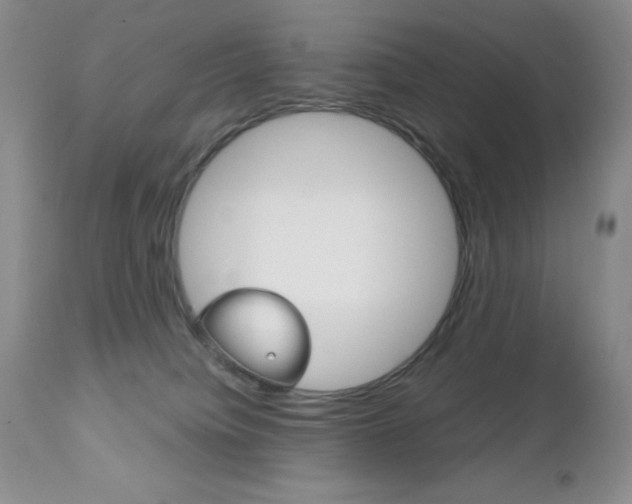 X0000111120084200906301051