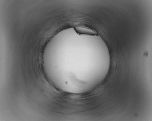 X0000111120085200906301051
