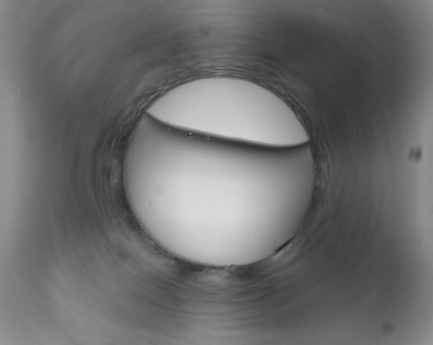 X0000111120086200906301051