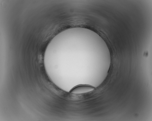 X0000111120087200906301051
