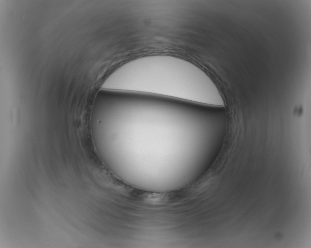 X0000111120088200906301051