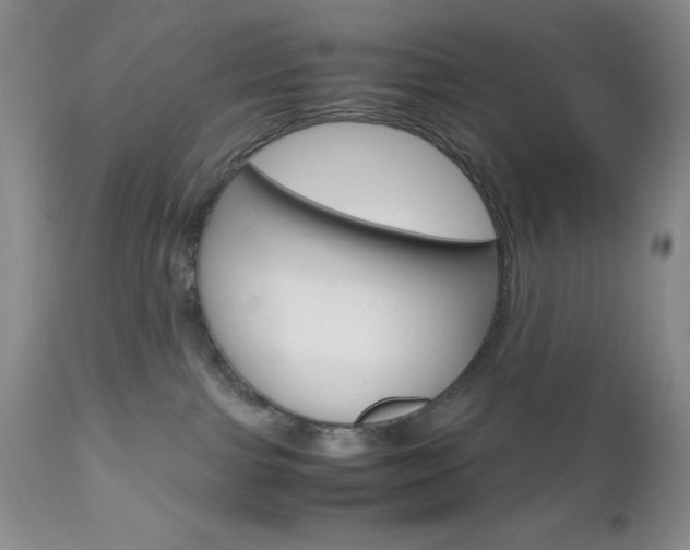 X0000111120091200906301051