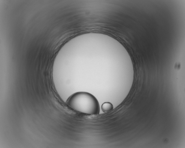 X0000111120092200906301051