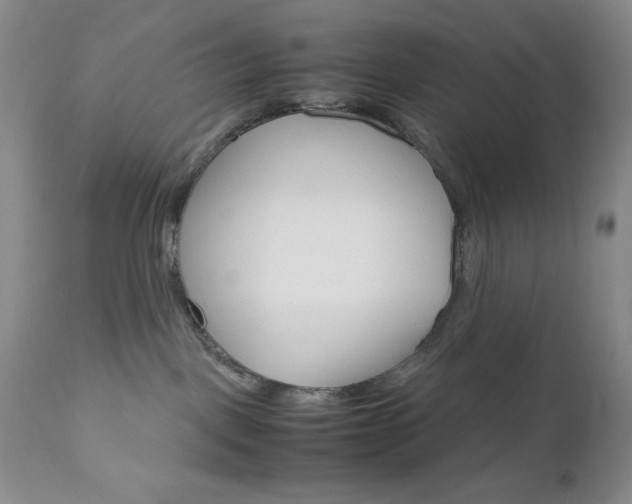 X0000111120093200906301051