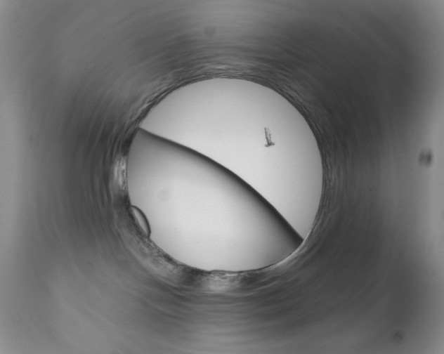 X0000111120094200906301051