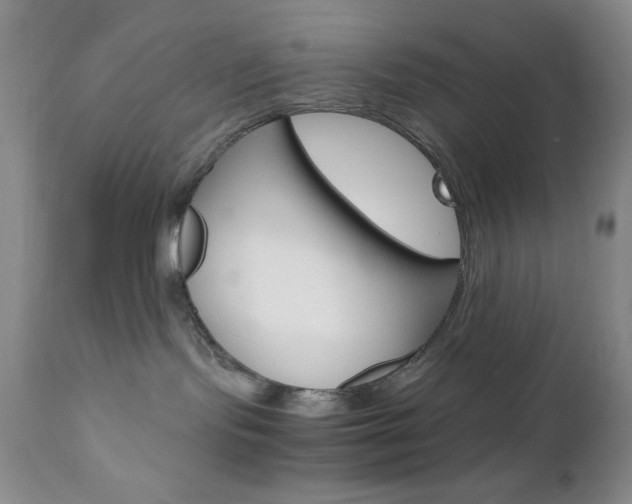 X0000111120095200906301051