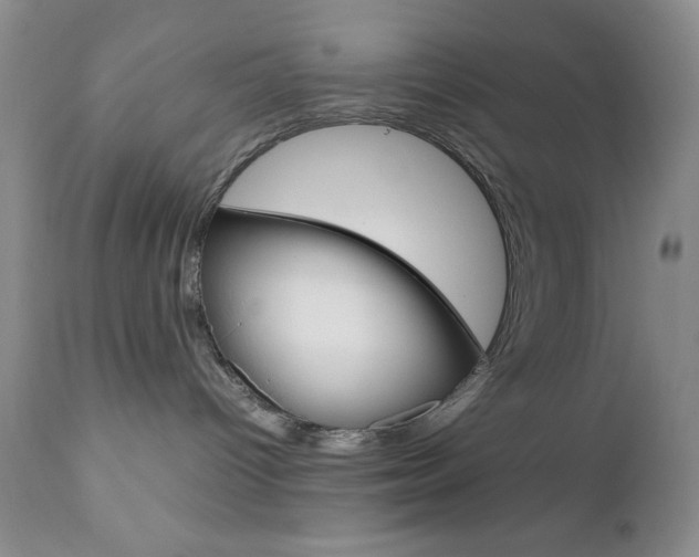 X0000111120096200906301051