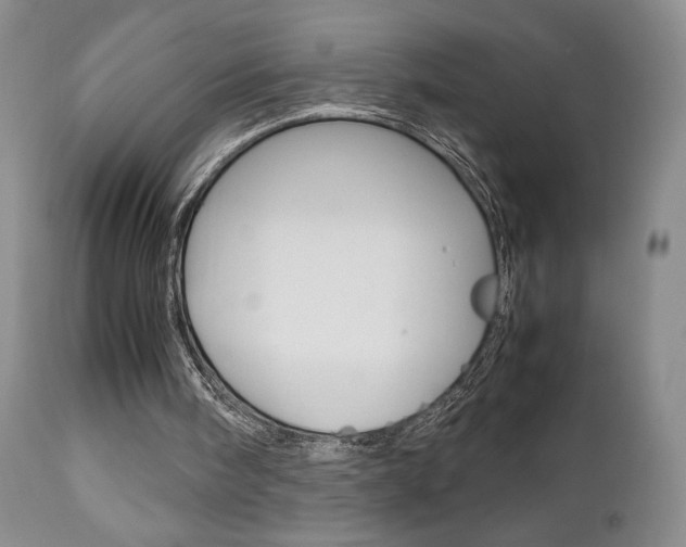 X0000111120098200906301050