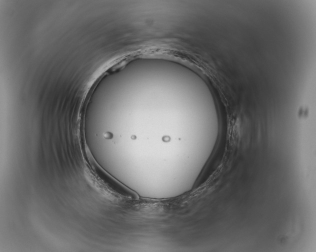 X0000111120100200906301050