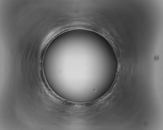 X0000111120101200906301050