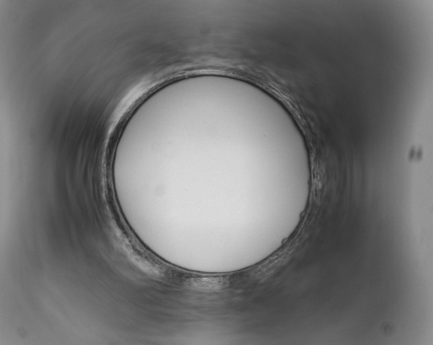 X0000111120102200906301050