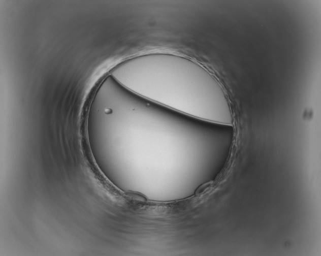 X0000111120104200906301050