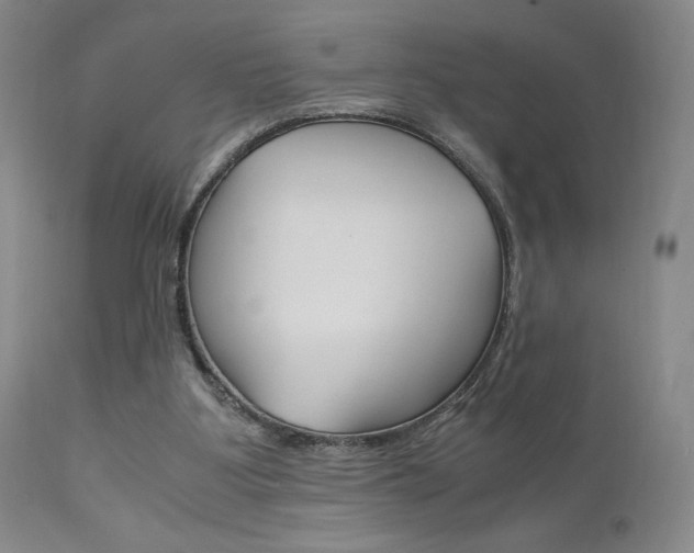 X0000111120107200906301050