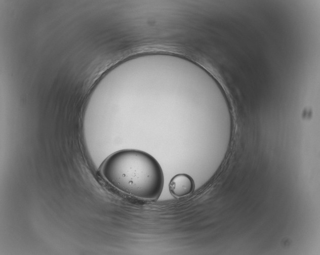 X0000111120109200906301050