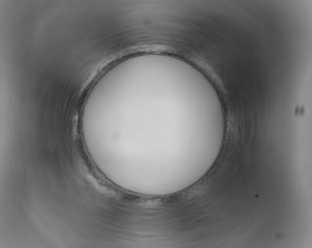 X0000111120110200906301050