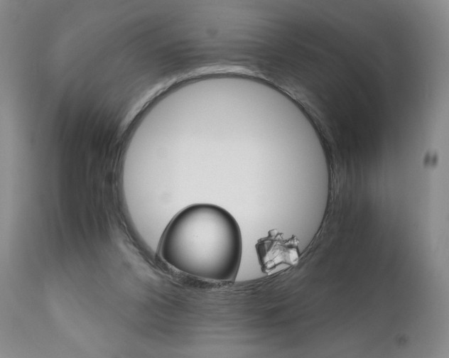 X0000111120112200906301050