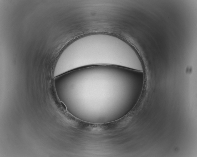 X0000111120113200906301050