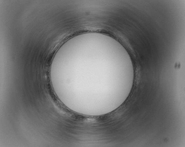 X0000111120114200906301050