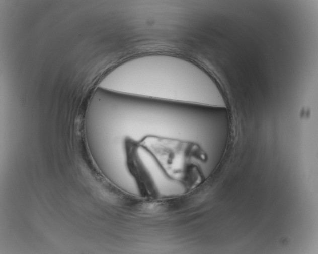 X0000111120117200906301050