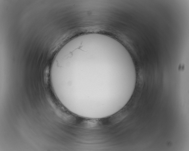 X0000111120118200906301050