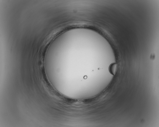 X0000111120119200906301050