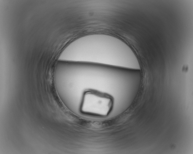 X0000111120121200906301050